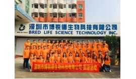 The organization of activities