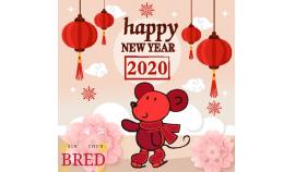 Spring Festival holiday notice 